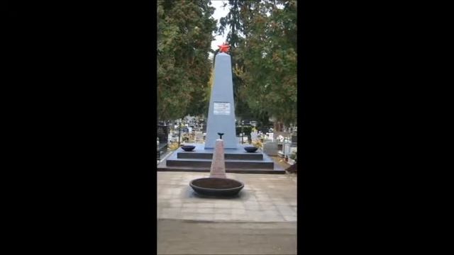 Проекты Содружества "KURSK" смотреть онлайн