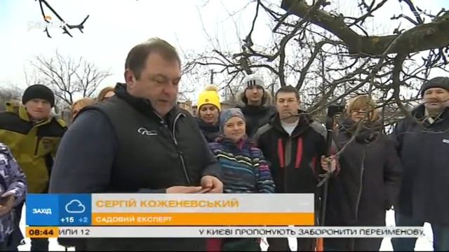 Садові поради - Карбування рослин смотреть онлайн
