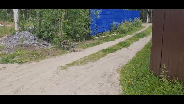 Дачный участок с нуля #41 В гостях у бабушки смотреть онлайн