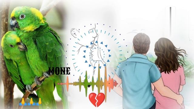 santhali status video2022! !nowa mone re jhalkao!!baidyanath official//YouTube channel смотреть онлайн