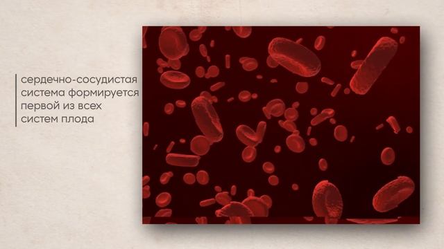 Начало смотреть онлайн