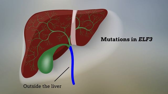 Genomic spectra of biliary tract cancer смотреть онлайн
