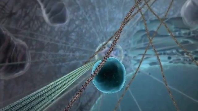 Inner Life Of A Cell Full Version смотреть онлайн