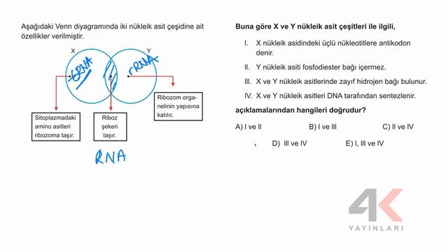 3.BÖLÜM 11.TEST - GENDEN PROTEİNE (KAZANDIRAN ÖSYM TESTİ) смотреть онлайн
