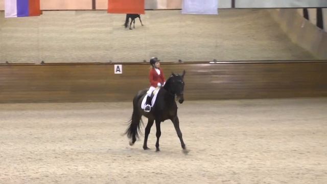 Предварительный Приз Дети, Откровенный Доминант и Сандра Набатникова. смотреть онлайн