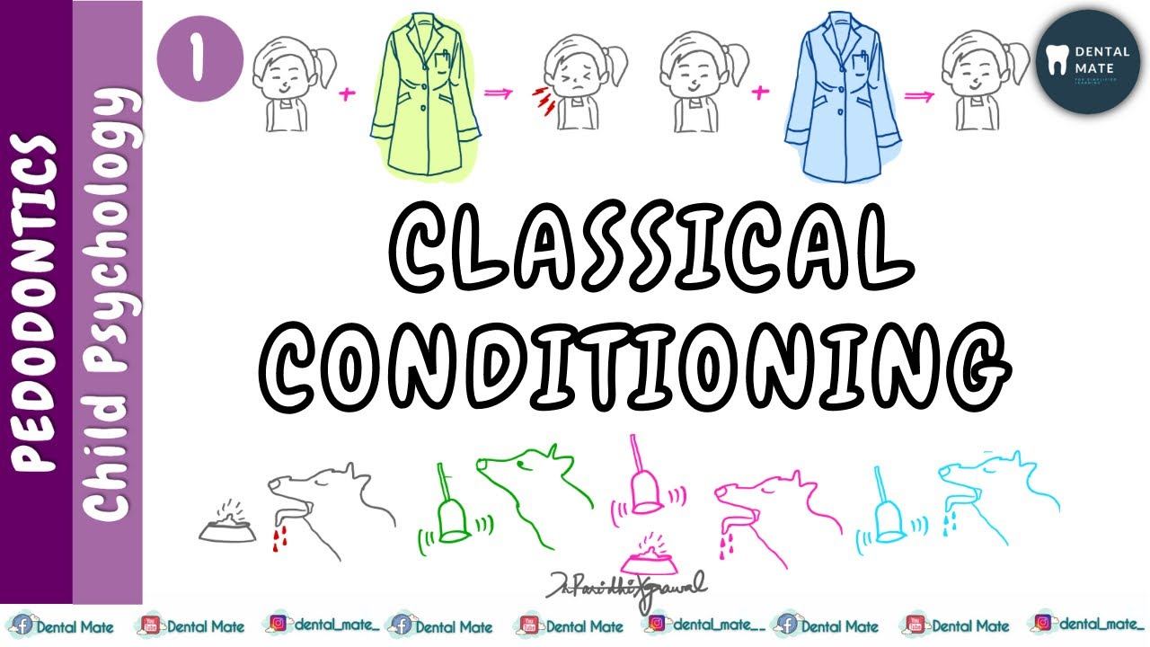 Classical Conditioning theory of learning | Ivan Pavlov | Principles | Bell dog experiment смотреть онлайн