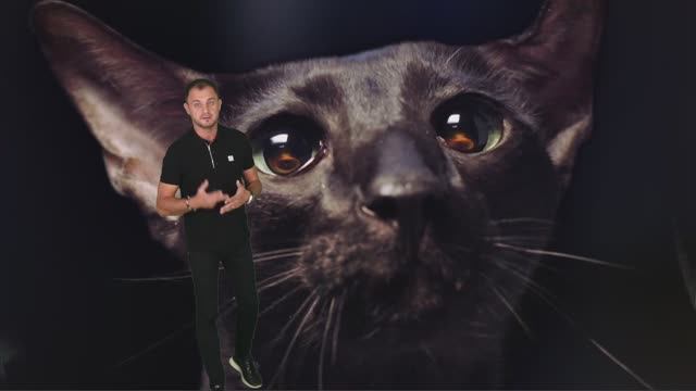 7 KUPPERSBERG ВЕБИНАР KUPPERSBERG для МФ Мария (22.08.24) смотреть онлайн