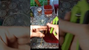 Черенкование метельчатой гортензии одревесневшими черенками. #черенкованиеметельчатойгортензии