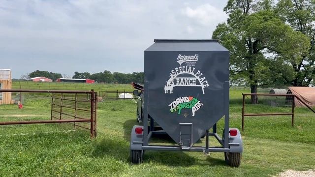 Breaking News on the Farm: Cows Rejoice (Vlog 85) смотреть онлайн