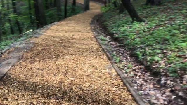 Najduža trim staza u Srbiji na Fruškoj gori. смотреть онлайн