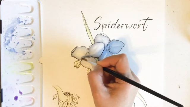 Winsor and Newton Series 7 Brush Review and Watercolor Painting смотреть онлайн