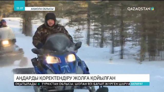 Көкшетау ұлттық табиғи паркінде аңдарды қоректендірудің арқасында аңдар саны артқан смотреть онлайн