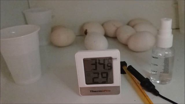 Subo la humedad de incubación así смотреть онлайн