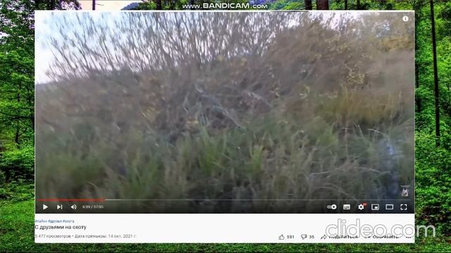 ✅ "Меткий" и "гостеприимный" ✅ Лайки Соловьева ✅ смотреть онлайн