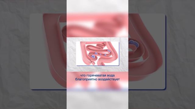 Помоги своему кишечнику горячеватой водой! #масгутов #доктормасгутов #здоровье #жкт #питание смотреть онлайн