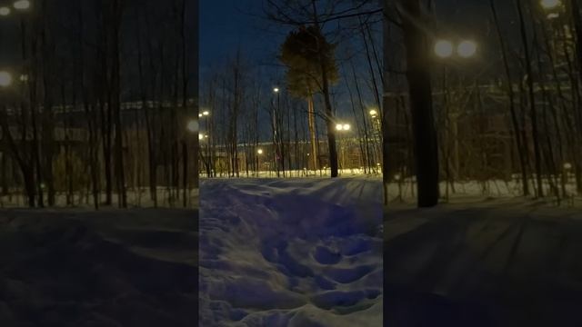 Боковое #сургут #втоп #зож #рекомендации #снег #закалка #вода #здоровье #бег #зима смотреть онлайн