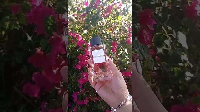 L'imperatice Dolce&Gabbana #fragancias #perfumehaul #perfume #Dolce&Gabbana #L'imperatrice смотреть онлайн