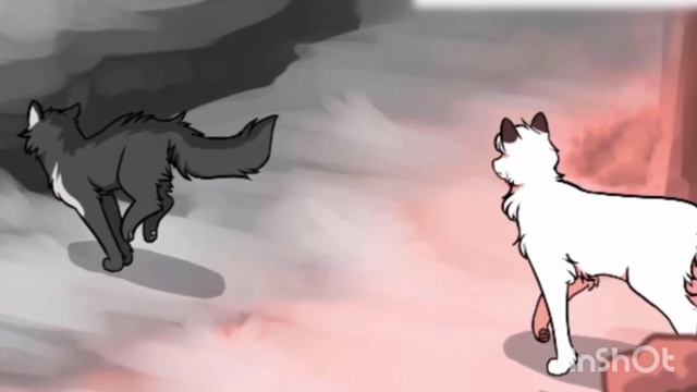 🥀Коты воители🥀| Клип | 🌈Радуга-дуга🌈 смотреть онлайн