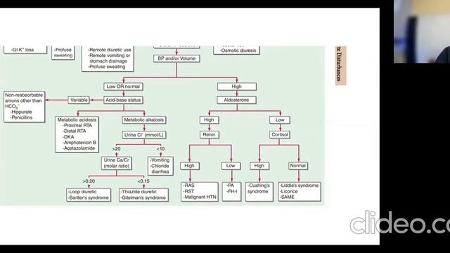 CRAVING ANSWERS - DR. JOHN ROY смотреть онлайн