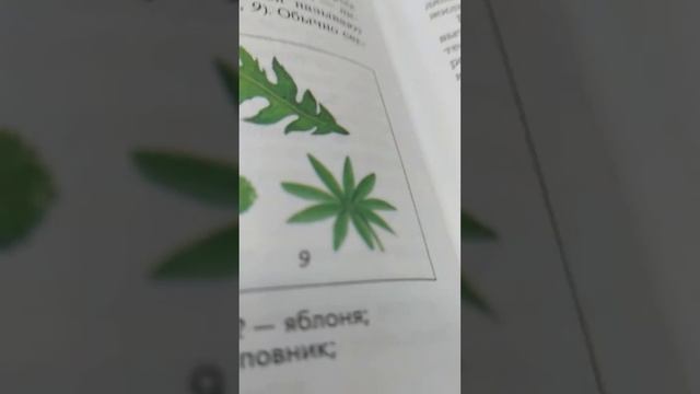 разоблачение учебника биологии смотреть онлайн
