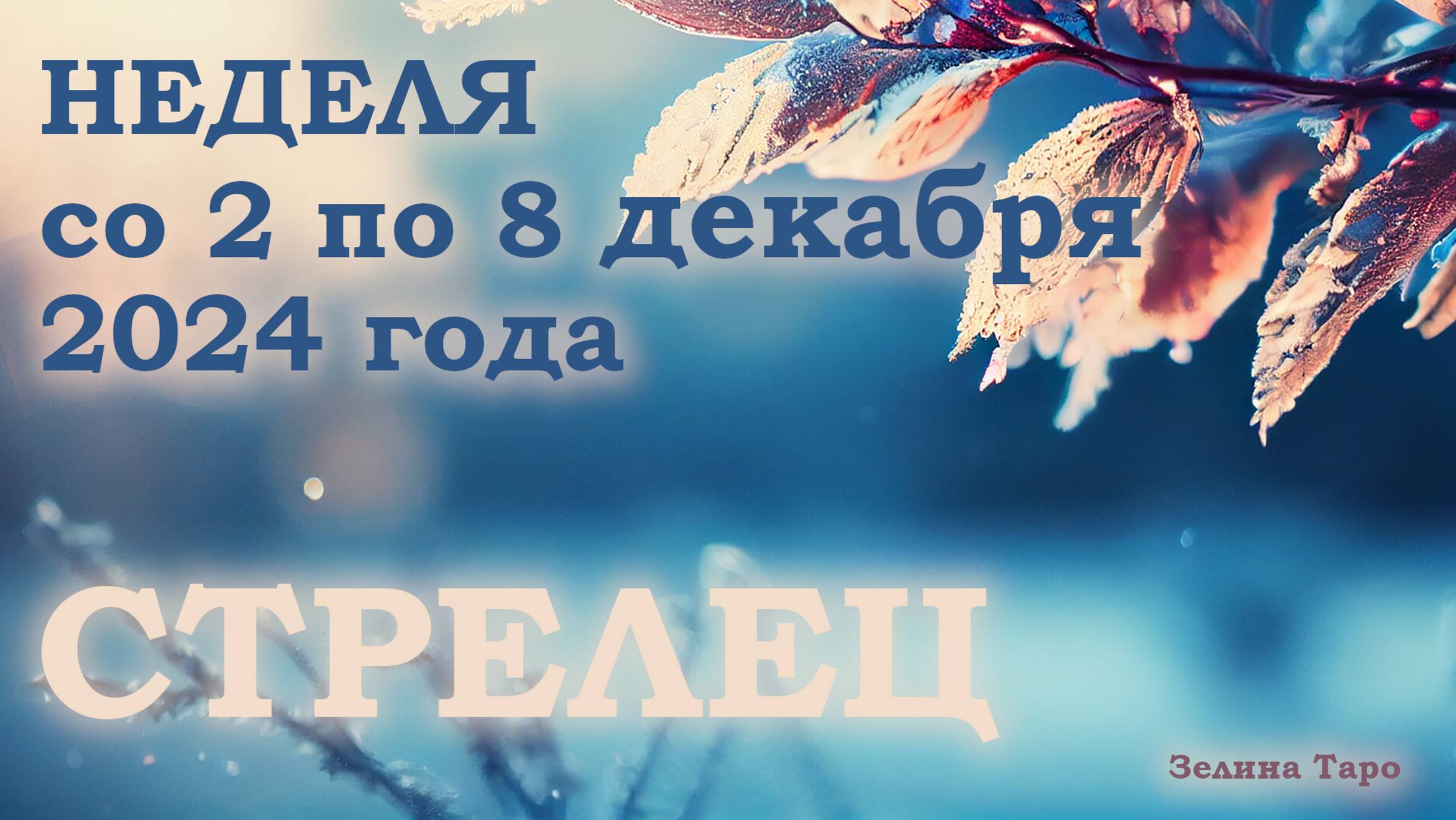 СТРЕЛЕЦ | Таро прогноз на неделю со 2 по 8 декабря 2024 года