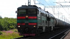 2ТЭ116-711 «БалтТрансСервис» с грузовым поездом следует через о.п. Ястребино