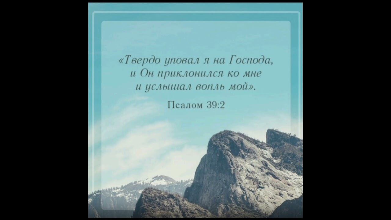 Каждый день смотреть онлайн