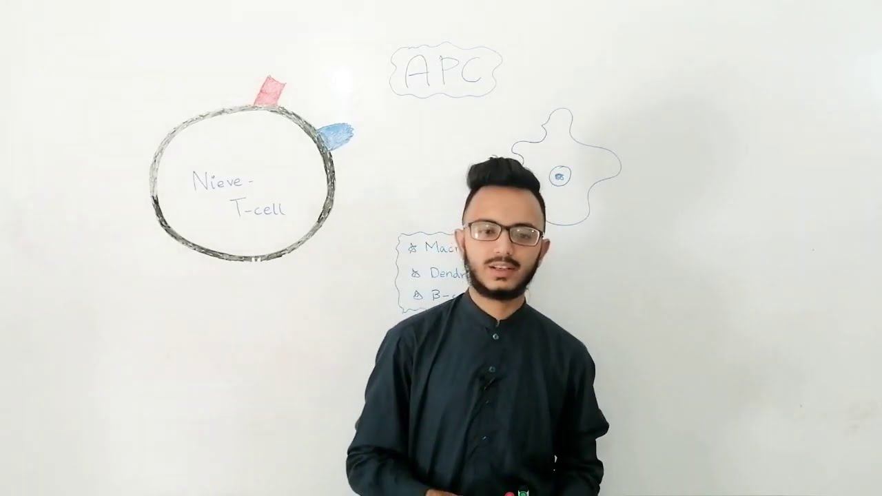 Antigen presenting cells (part 1) By Waqas Ahmed смотреть онлайн