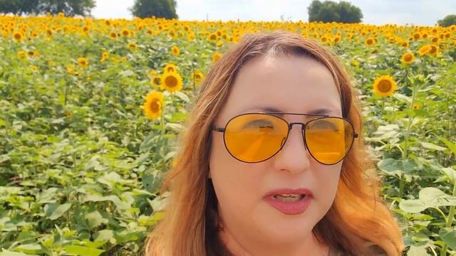 Отзыв Екатерины Уилсон о личном коучинге с Асэль Карабаевой смотреть онлайн