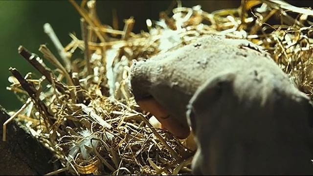 Они спасли друг друга смотреть онлайн