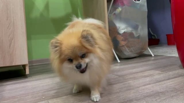 Тренировочка