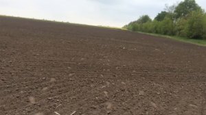 Подкормка пшеницы селитрой РУМом в мае | Подготовка к посеву проса