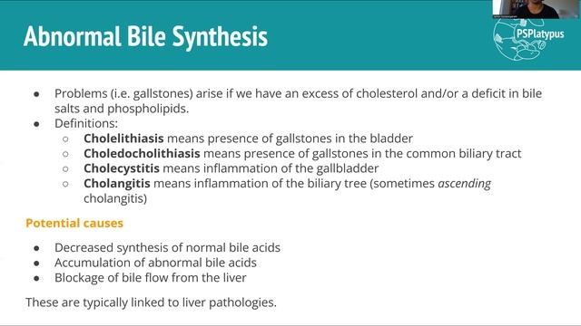 Synthesis, Disorders and Circulation of Bile смотреть онлайн