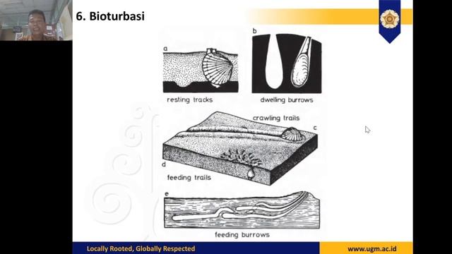 TKGL164A07 #07 Produktivitas Bentik смотреть онлайн