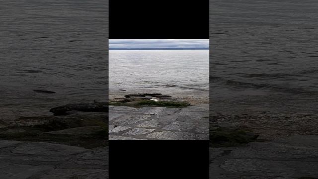 20190503_112414 смотреть онлайн