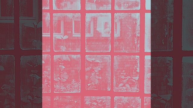 Чувство (Города)