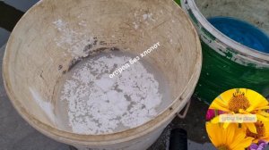 Как приготовить 1% бордоскую смесь.