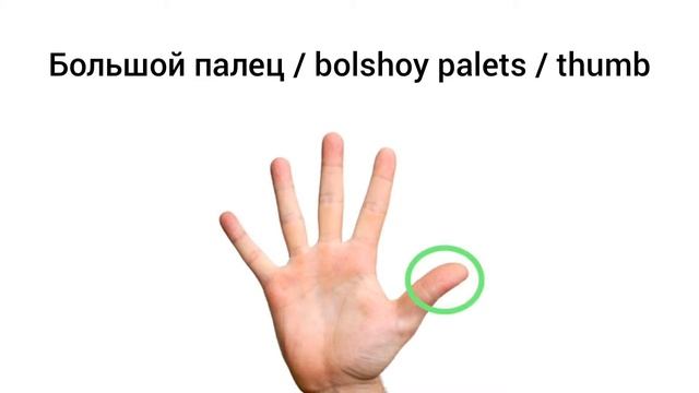 How To Pronounce Thumb In Russian