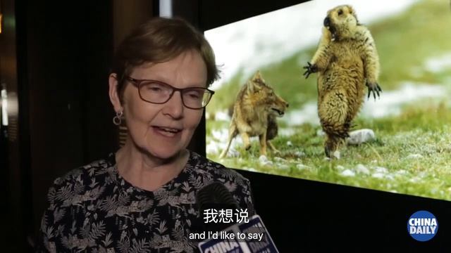 Chinese entry wins Wildlife Photographer of the Year смотреть онлайн