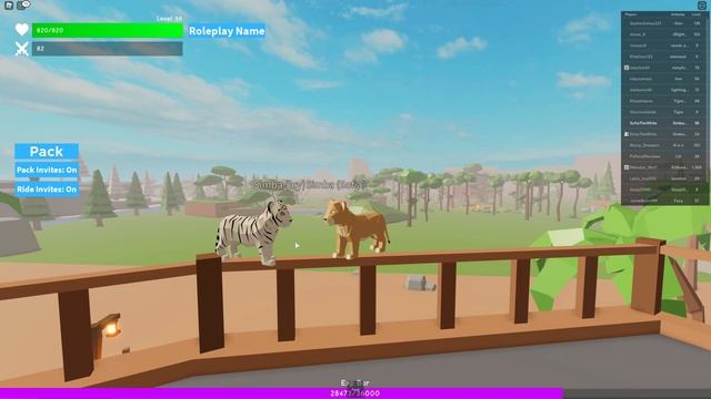 ОБЪЯВЛЕНИЕ! РОБЛОКС. ИГРАЕМ ВМЕСТЕ СИМУЛЯТОР ЖИВОТНЫХ 6 ДЕК. в 16ч MSK. ROBLOX ANIMAL SIMULATOR смотреть онлайн