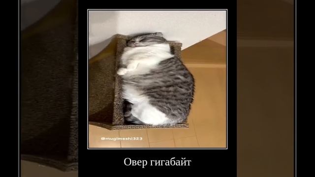 Овер гигабайт