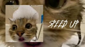 ~°^плейлист рандомных песен /speed up/рандомная музыка/Музыка^°~