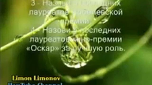 Видео со смыслом смотреть онлайн