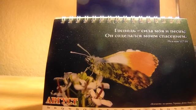 ОТВЕТЫ НА ВОПРОСЫ(Август 2019)Даниэль Нистар смотреть онлайн