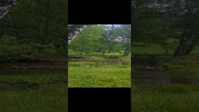 отдых  на природе.