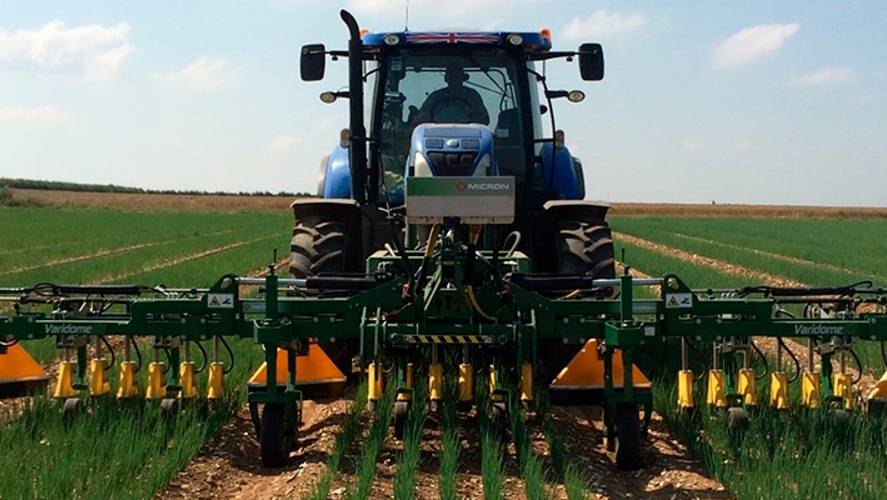 Гербицидный пропольщик Varidome Micron