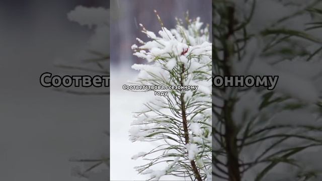 Ты точно не знал! #факты #факт #образование #наука #школа #знания #интересно #развитие #история смотреть онлайн
