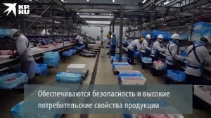 Русагро-Приморье