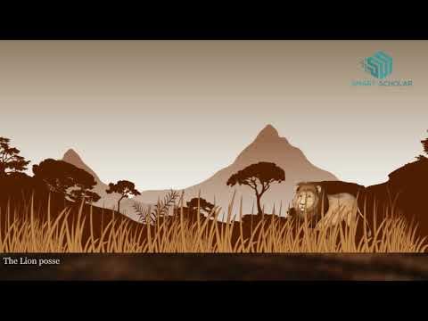 Adaptation Of Plant And Animals- Science Animation