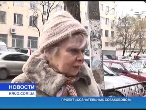 Проект сознательных собаководов смотреть онлайн